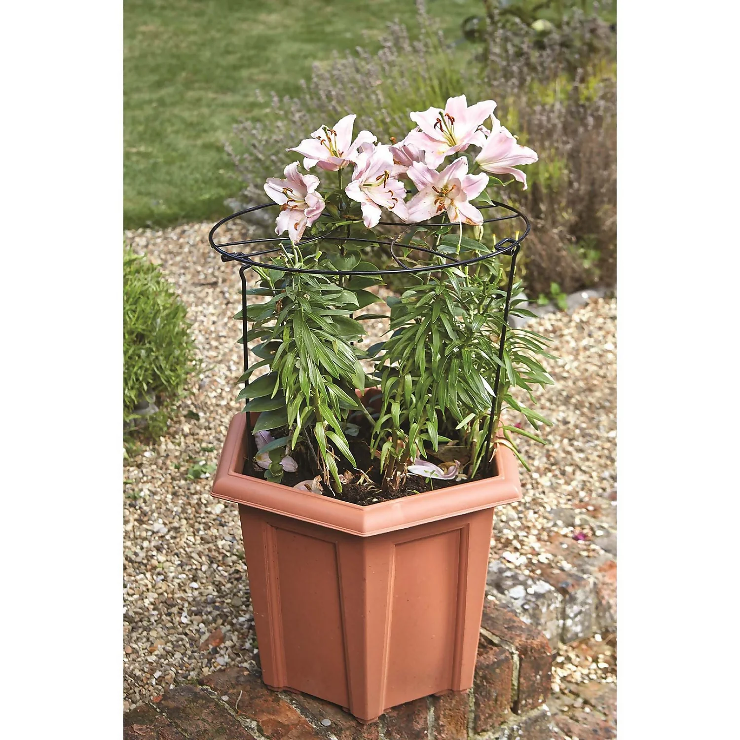 Smart Garden Gro-Rings 40cm With 60cm Legs - Image 2