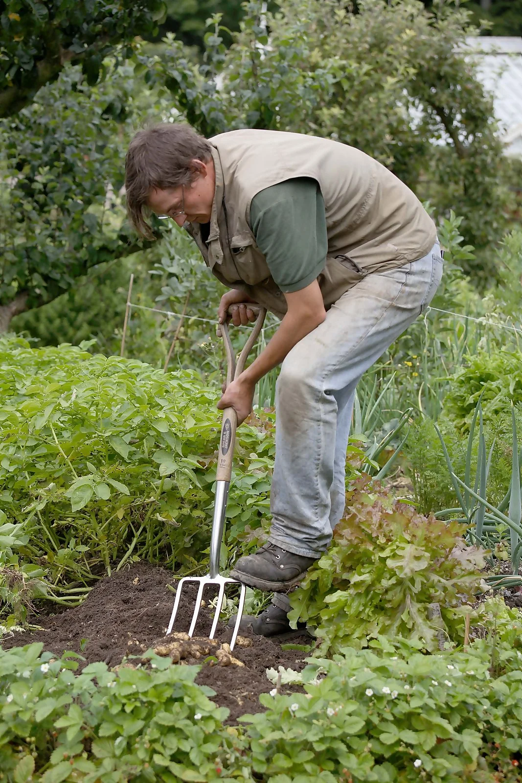 Spear & Jackson Traditional Stainless Digging Fork - Image 4