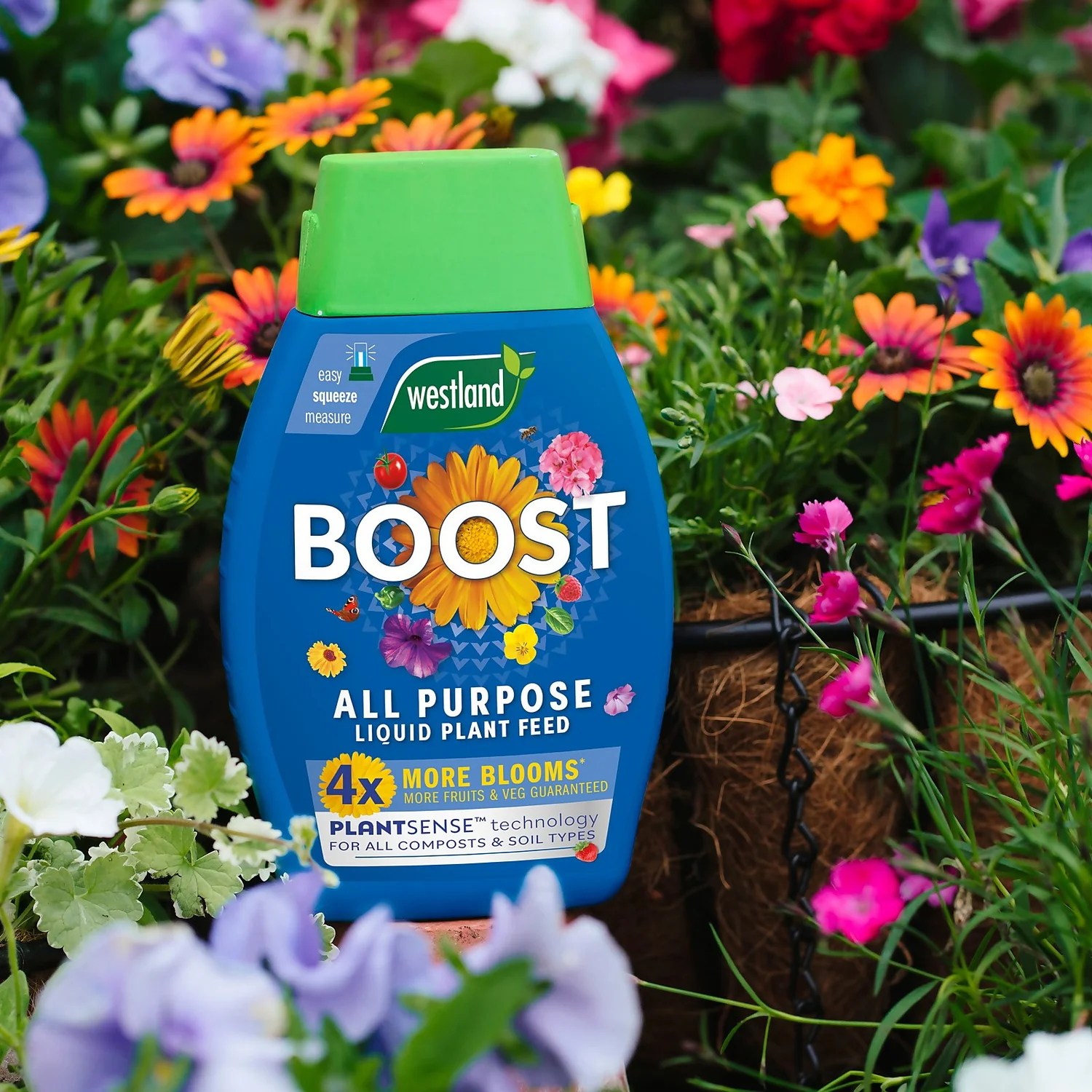 Westland Boost All Purpose Plant Food 1L - Image 2