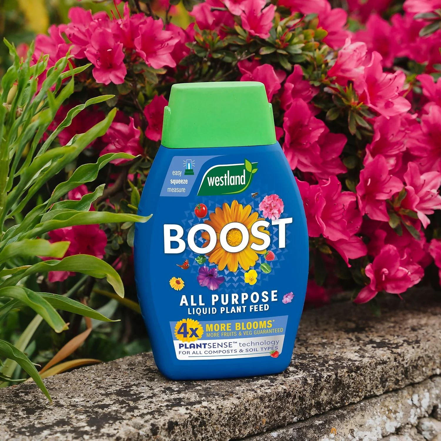 Westland Boost All Purpose Plant Food 1L - Image 6