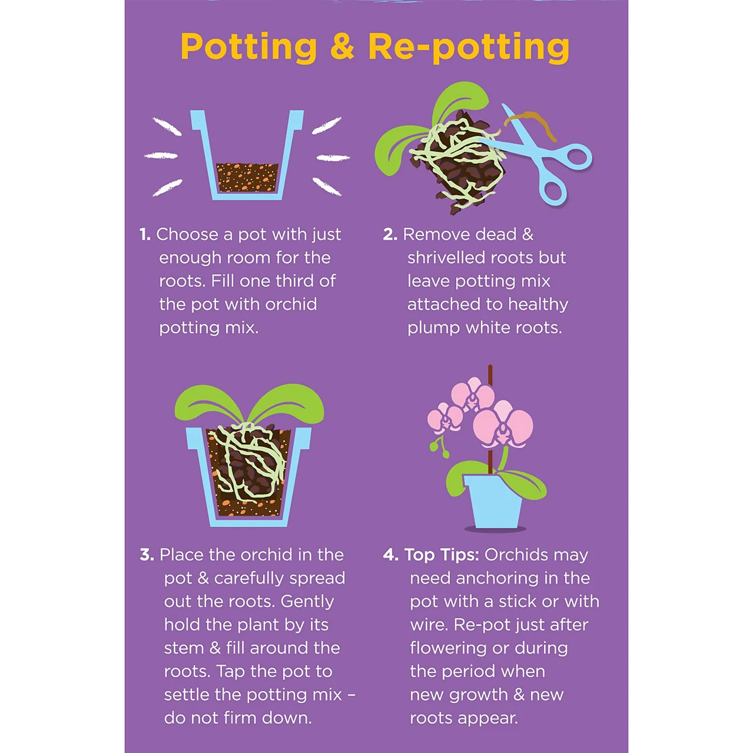 Westland Orchid Potting Mix Peat Free 8L - Image 3